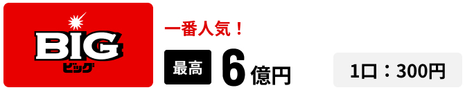 bigページ 当せん確認｜スポーツくじオフィシャルサイト