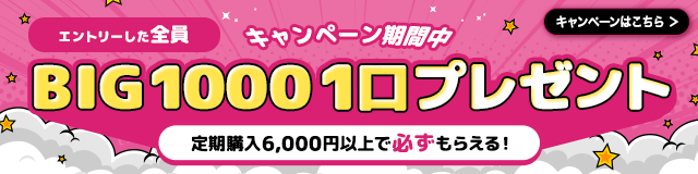定期購入6,000円以上で必ずもらえる！BIG 1000 1口プレゼント！