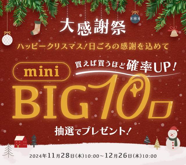 ☆大感謝祭☆ハッピークリスマス！日ごろの感謝を込めてmini BIG10口