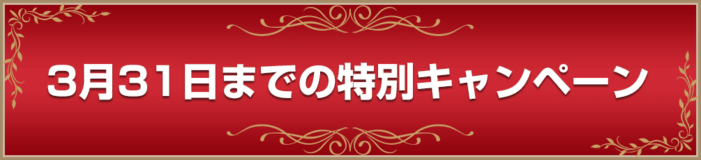 3月31日までの特別キャンペーン！